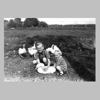081-0037 Reinlacken 1942 - Guenther Reimann und Schwester Renate Schulz mit den Gaensen auf der Wiese.JPG